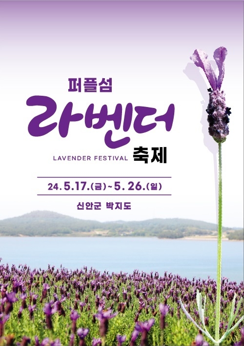 퍼플섬! 2천만 송이 라벤더 꽃 축제 개최..