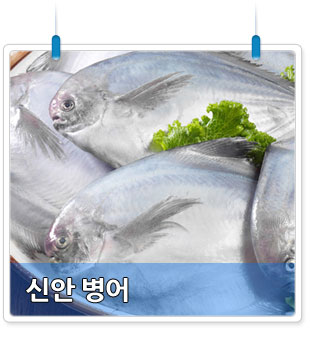 신안 병어