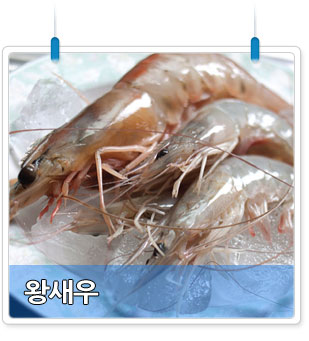 왕새우