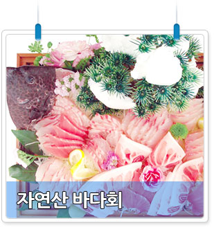 신안 대하
