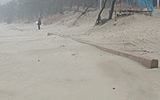 자라도 동쪽 갯벌