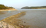 공운리 갯벌