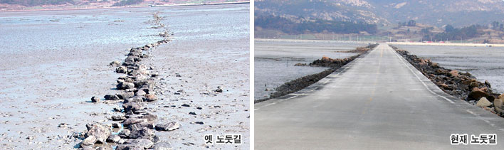 추포노둣길 