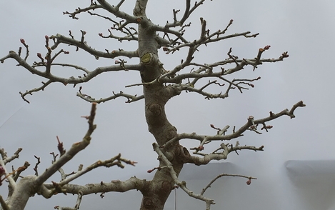 수사해당  구-46