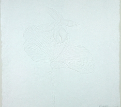 순리