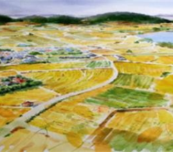 선도