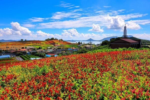 사용자 이미지 6C7A0584완_1.jpg