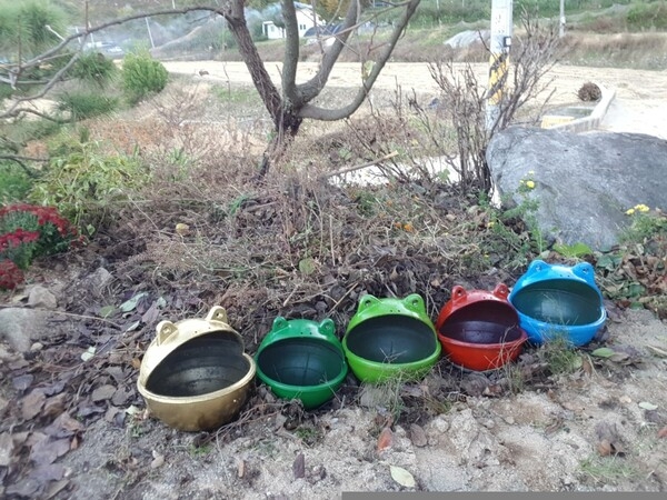 사용자 이미지 20211028_164013.jpg