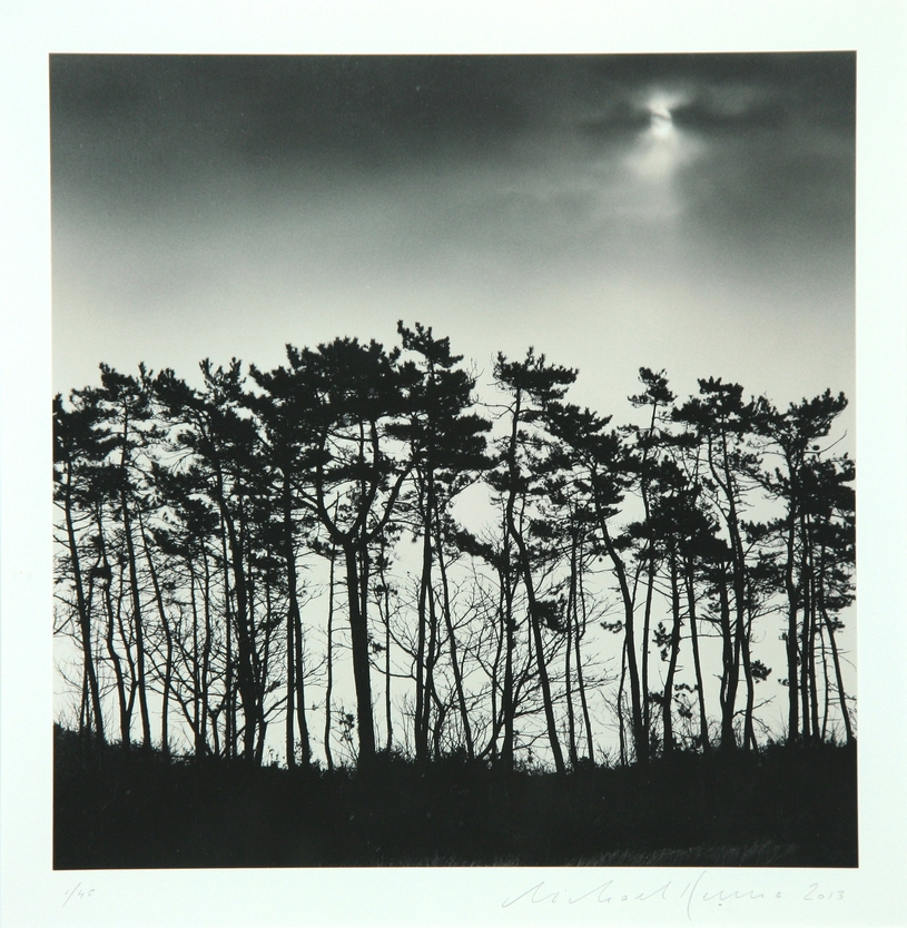 15. Moon Mountain Trees, Jangsan-do, Shinan, South Korea, 2013 1