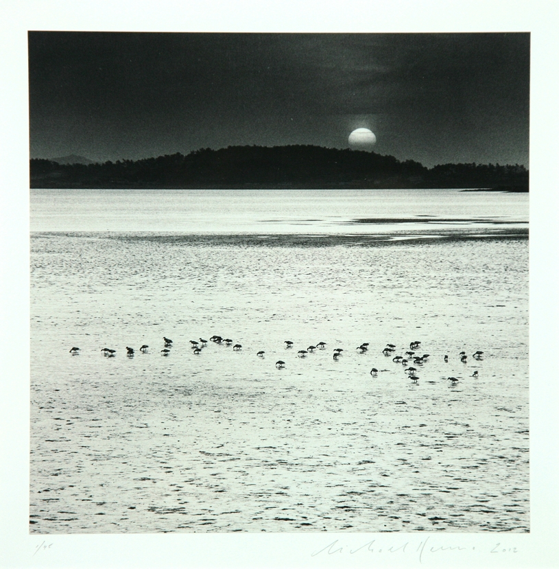 23.  Feeding Birds, Jeung-do, Shinan, South Korea, 2012 1