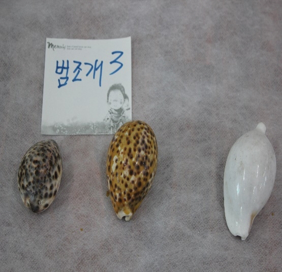 1644-1650. 범조개화석 (대표사진) 2