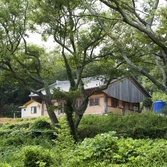 노만사