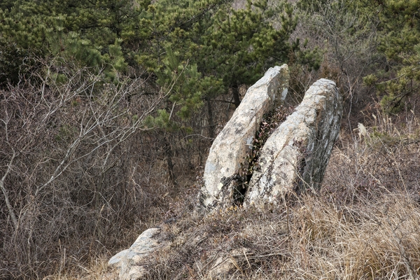 암태 승봉산 기암기석 003 5