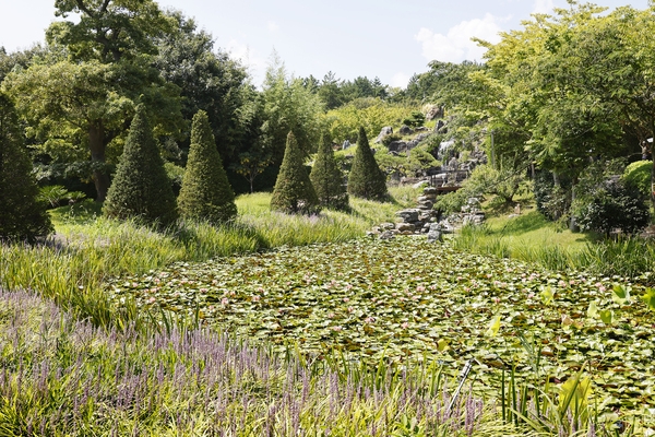 압해읍 1004 분재정원 맥문동 002 2