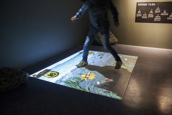 섬생태연구소 1