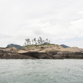 우이도해안 기암괴석