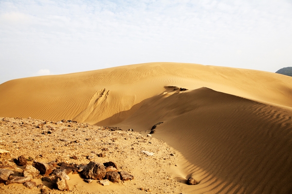 우이도 모래언덕 풍성사구 2