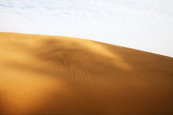 우이도 모래언덕 풍성사구 3