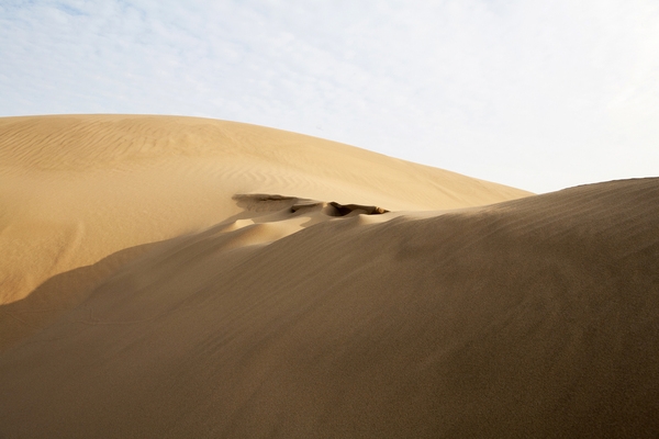 우이도 모래언덕 풍성사구 4