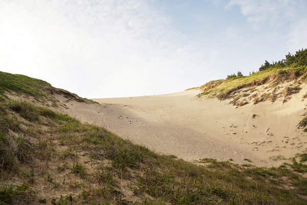 우이도 모래언덕 풍성사구 5