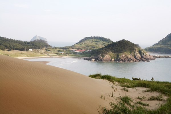 우이도 모래언덕 풍성사구 6