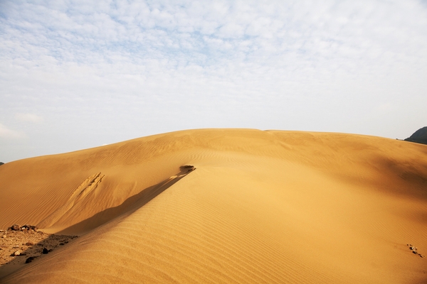 우이도 모래언덕 풍성사구 1