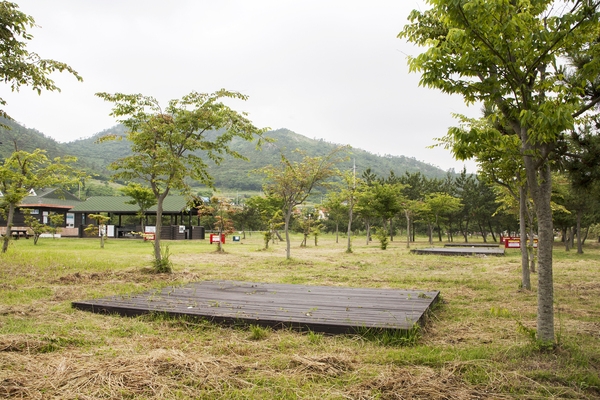 도초_시목해수욕장도드림펜션야외캠핑장 3