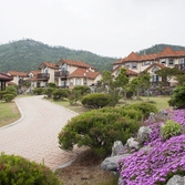 도초_시목해수욕장도드림펜션야외캠핑장