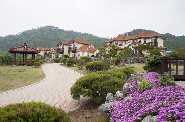 도초_시목해수욕장도드림펜션야외캠핑장 1