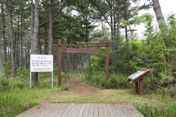 도초 시목해수욕장 3