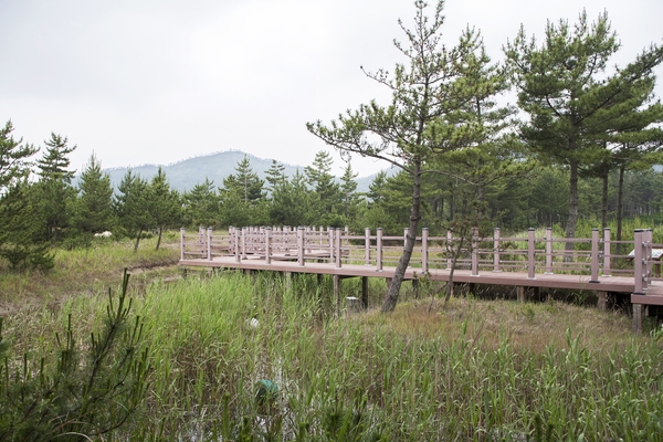 도초 시목해수욕장 5