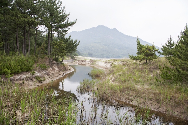 도초 시목해수욕장 6