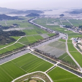 도초면 환상의 정원 팽나무길