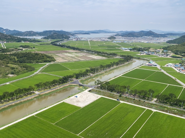 도초도 환상의 정원 팽나무길 002 3