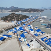 도초면 마을전경