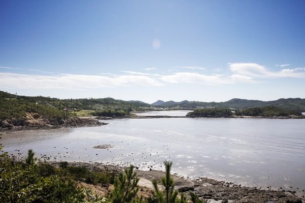 인동초펜션, 해안 2