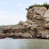 하의_20160930_해안기암괴석