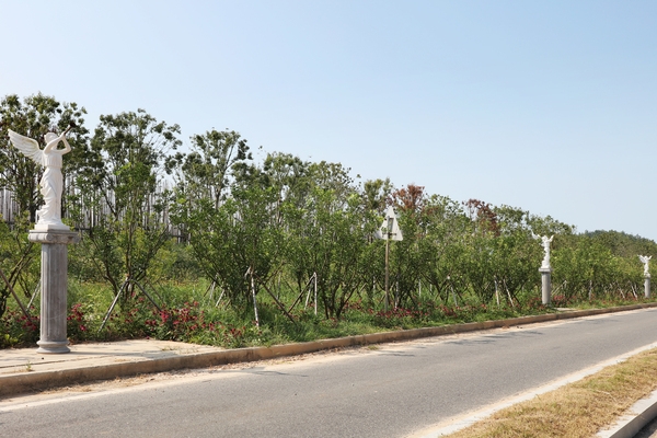 하의면 한반도 평화의 숲 001 3