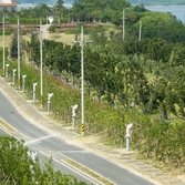 하의면 한반도 평화의 숲 001