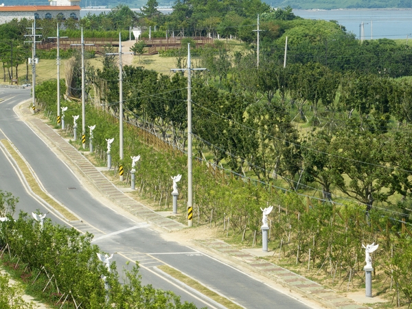 하의면 한반도 평화의 숲 001 1