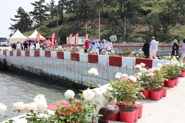 하의면 옥도 작약 005 2