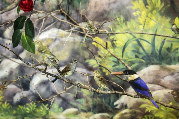 신안철새전시관002 2