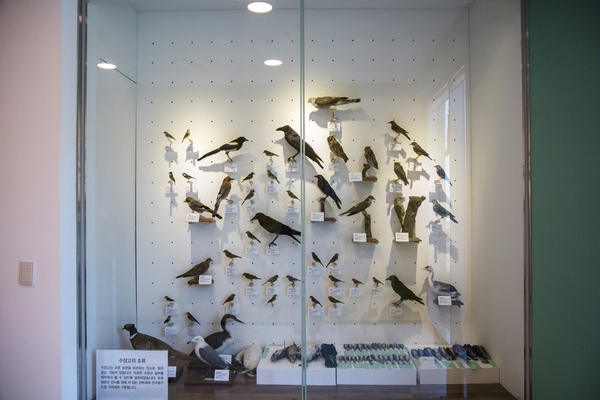 신안철새전시관002 6