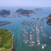 흑산면 대둔도 가두리양식