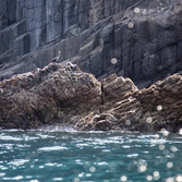 흑산 만재도 주상절리해안