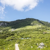 흑산면 가거도 독실산