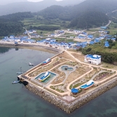 흑산도 새조각공원