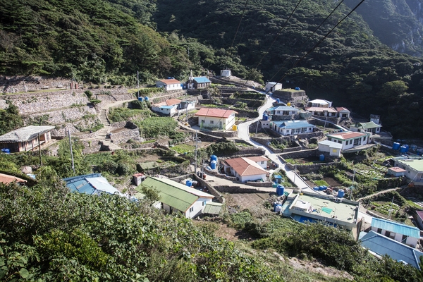 홍도002 3