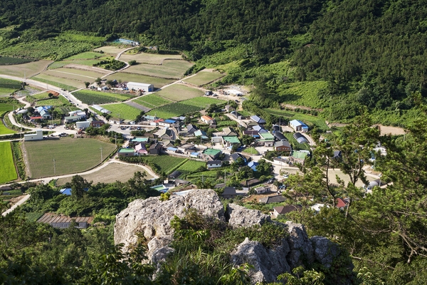 임자도001 6
