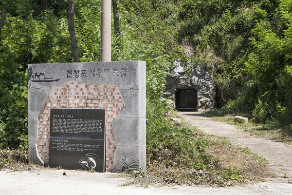 임자003 3
